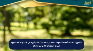 «تغيرات مدهشة» تحديث أسعار العملات الأجنبية في البنوك المصرية اليوم الثلاثاء 10 يونيو 2025